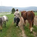 Reiter und Ponys