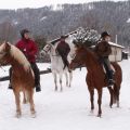 Ausritt im Schnee