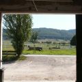 Blick nach vorn aus dem Stall