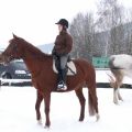 Ausritt im Schnee
