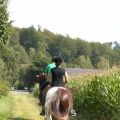 Ausritt im Sommer