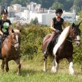 Ausritt im Sommer