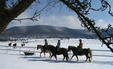 Westernreiter im Schnee